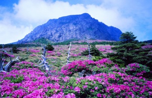 A világ hét természeti csodája IV. - Jeju-sziget