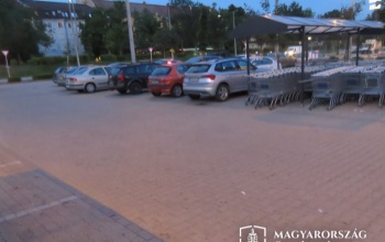 Útban állt, szóvá tették, homlokkal válaszolt