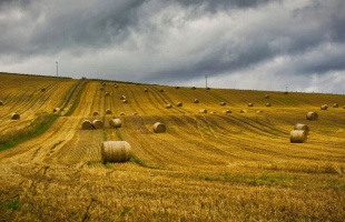 Interneten is lehet szavazni az Év Szaktanácsadójára
