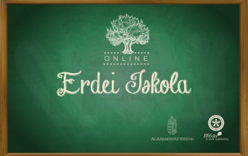 Online erdei iskolasorozat indul a Madarak és fák napján