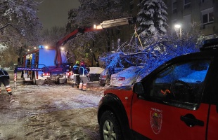 Öt fa eltávolítása után lakástűzhöz riasztották a Kötél tűzoltóit