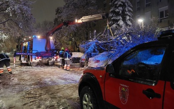 Öt fa eltávolítása után lakástűzhöz riasztották a Kötél tűzoltóit