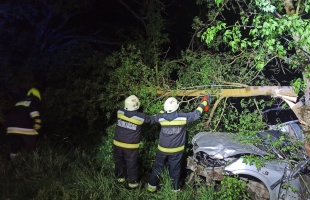 Veszélyesen megdőlt fák, leszakadt ágak, balesetek, tűzesetek - nem volt eseménytelen a tűzoltók hétvégéje