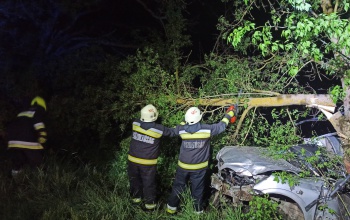 Veszélyesen megdőlt fák, leszakadt ágak, balesetek, tűzesetek - nem volt eseménytelen a tűzoltók hétvégéje