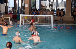 Ismét megrendezte a Sulipóló bajnokságot a Kaposvári Vízilabda Klub