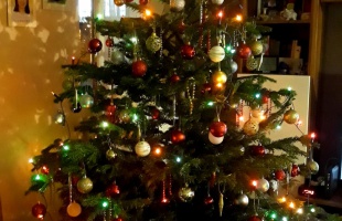 Fanni & Márk karácsonyfája