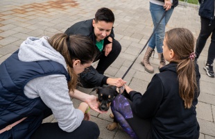 A BundaZugot támogatta a FINO: 300 ezer forint gyűlt össze