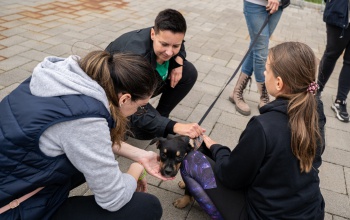 A BundaZugot támogatta a FINO: 300 ezer forint gyűlt össze