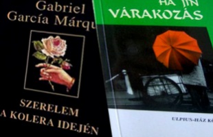 Olvasónapló 3. (Várakozás és szerelem)
