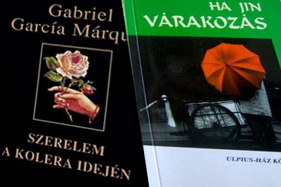 Olvasónapló 3. (Várakozás és szerelem)