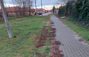 Autóval a járdán – Füreden valaki nagyon lusta
