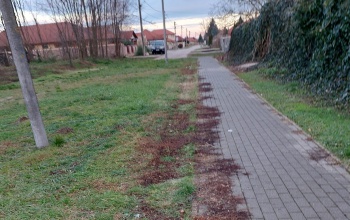 Autóval a járdán – Füreden valaki nagyon lusta
