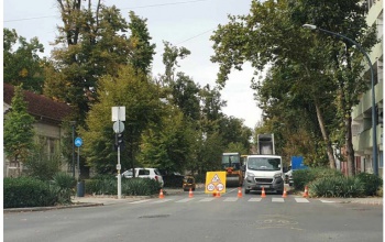 Megszépül a Németh István fasor –  kezdődnek a munkálatok