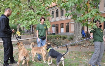 Segíts és játssz!