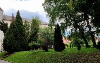 Újra lesz pedagógusképzés is a MATE Kaposvári Campus belvárosi épületében