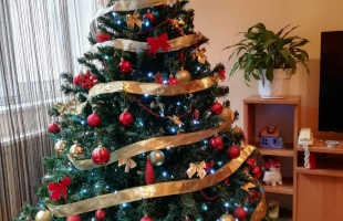 Erika karácsonyfája