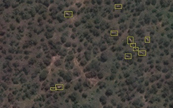 Megáll az ész! Egy forradalmi módszerrel mostantól a világűrből számlálják az elefántokat