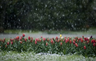 Csütörtökön viharos szél, péntekre jelentős enyhülés