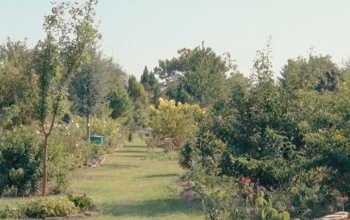 Varázslatos arborétum rejtőzik Kaposfüreden