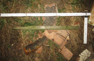 Családi perpatvar Rinyaszentkirályon: karóval ütötte különélő felesége rokonát