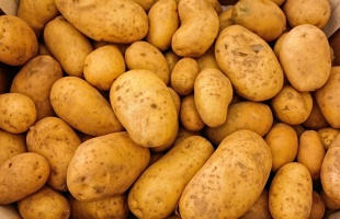 Most már ön is tudni fogja, melyik krumpli mire jó