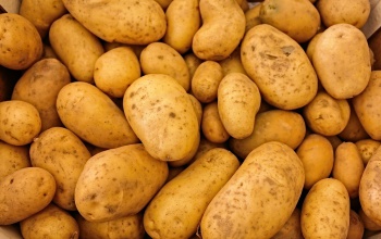 Most már ön is tudni fogja, melyik krumpli mire jó