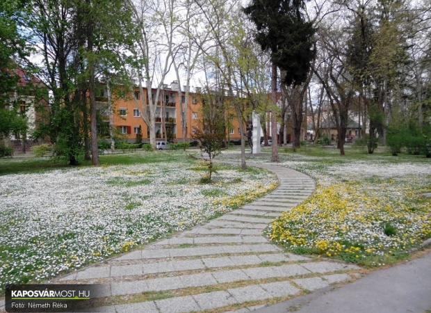 Százszorszép Berzsenyi park