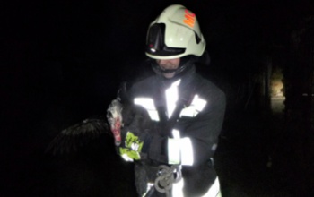 Kacsamentés, műszaki mentés, szabadtéri tűz - a somogyi tűzoltók a hétvégén sem tétlenkedtek