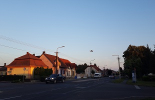 Kérték a várostól, irtottak, pénteken folytatás