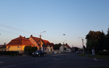 Kérték a várostól, irtottak, pénteken folytatás