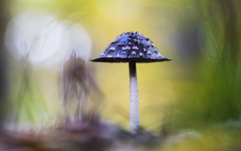 A tél szépsége a természetben