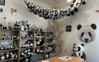 Közel 7000 panda várja a látogatókat Kaposhomokon – egy különleges gyűjtemény, amely egy gyermekkori rajongásból született