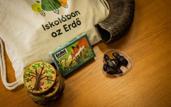 Ismét lehet pályázni az Iskolában az Erdő Program újabb ütemére