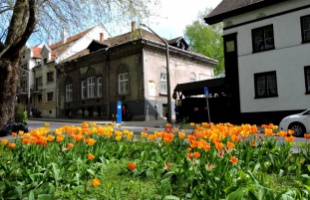 A Színház park tavasszal