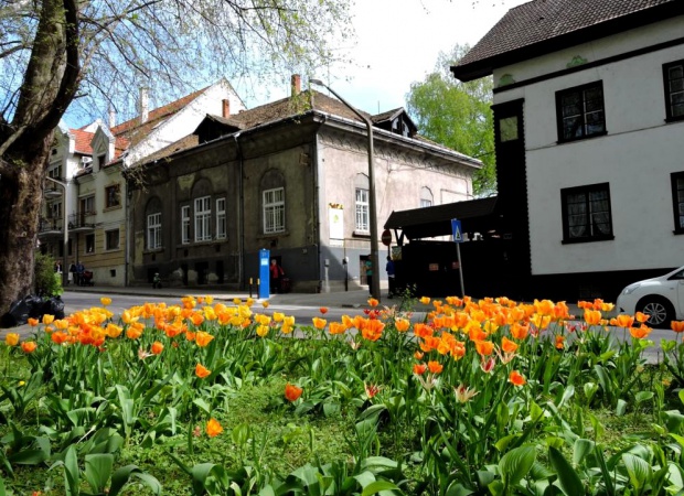 A Színház park tavasszal