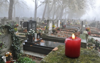 Permetezik a fákat a Nyugati temetőben