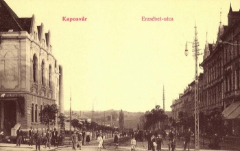 Buszos arcképek: a Virágos Kaposvár mozgalom elindítója