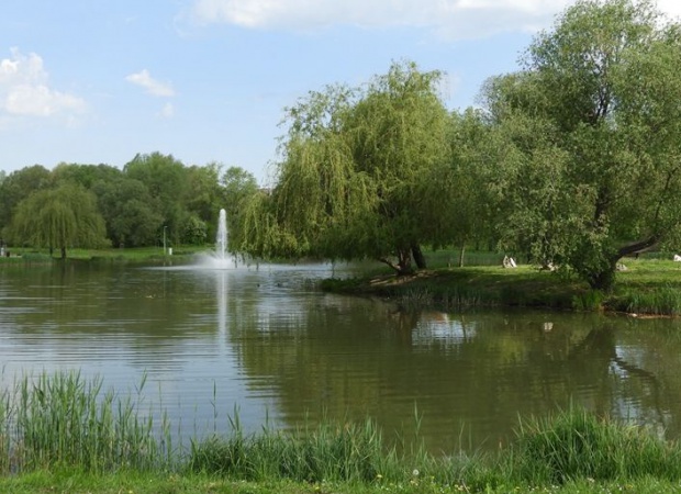 Kizöldült a Városliget