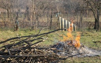 Őszi munkálatok a kertben: a szabadtéri égetés helyi szabályai