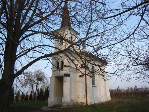 Donneri álmok (Kaposvár 1897-ben)
