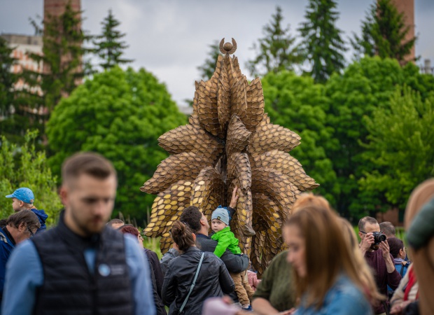 Tovább lombosodott az Életfa - fotók