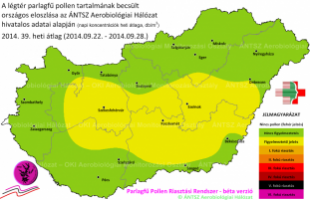 Már nincs riasztás a parlagfű miatt
