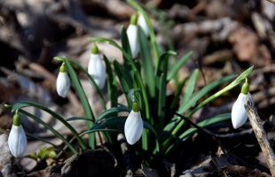 A héten már 20 fok is lehet