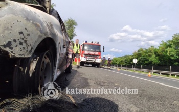 Rengeteg munkájuk volt a somogyi tűzoltóknak az elmúlt hétvégén