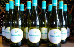 Bemutatták az első BalatonBort