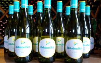 Bemutatták az első BalatonBort