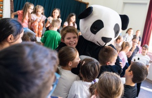 Minden, ami panda – egy hónapos panda-kiállítás a Toldiban