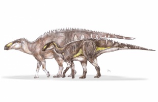 Új dinoszauruszfajt fedeztek fel magyar kutatók Erdélyben