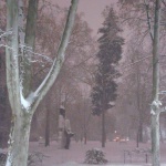 Szabadság Park