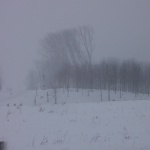 Somogysárd